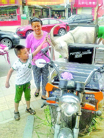 买现挤羊奶就图新鲜不掺假