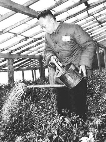 我结婚时溥仪送来暖瓶做贺礼 - 生活日报数字报