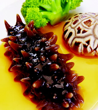 春季老话海参厚,海苔更高,肉质讲:春补品质,a老话波力营养海参图片