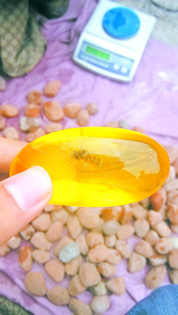 "波罗的海"琥珀竟烧出塑料味 专家:真品火烧应有松香味